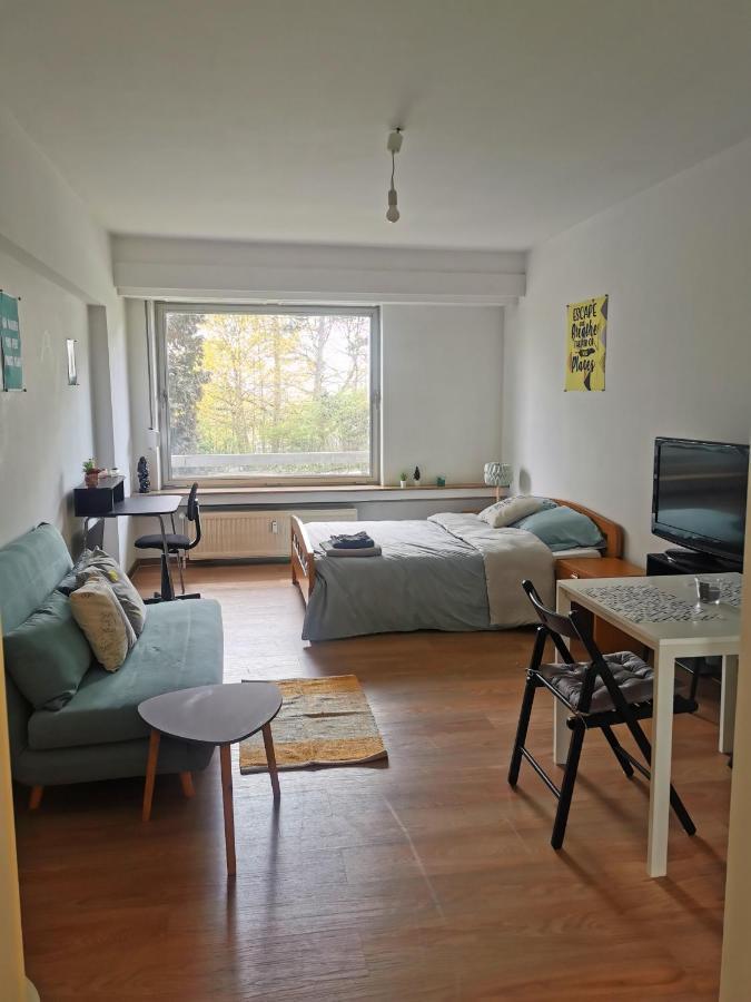 Homestay Big Cozy In Center - Shared Flat With 1 Luxembourg